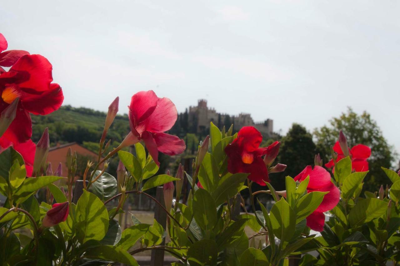 Отель La Finestra Sul Castello Соаве Экстерьер фото